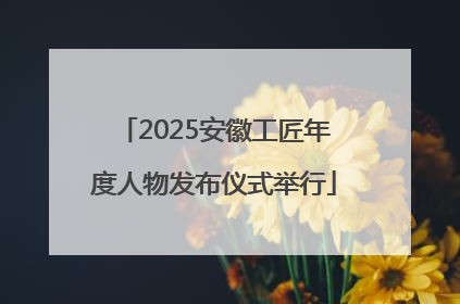 2025安徽工匠年度人物发布仪式举行