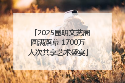 2025昆明文艺周圆满落幕 1700万人次共享艺术盛宴