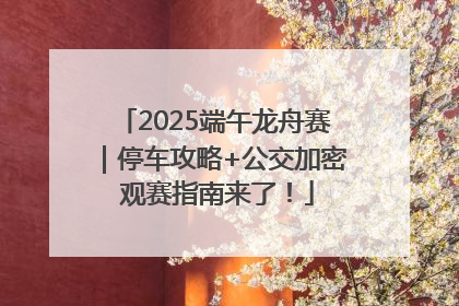 2025端午龙舟赛｜停车攻略+公交加密 观赛指南来了！