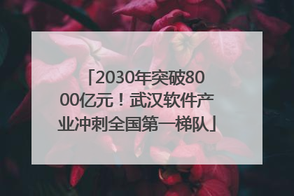 2030年突破8000亿元！武汉软件产业冲刺全国第一梯队