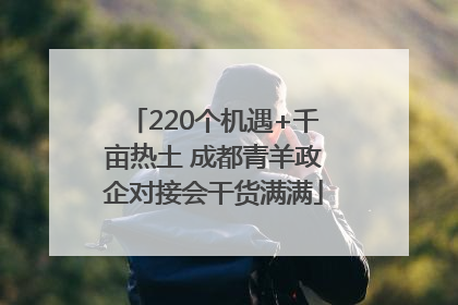 220个机遇+千亩热土 成都青羊政企对接会干货满满