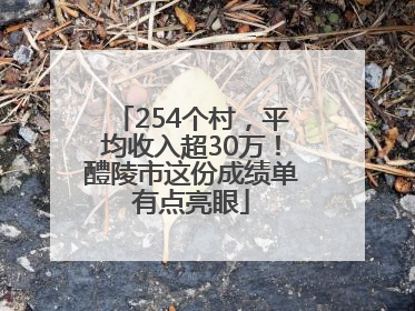 254个村，平均收入超30万！醴陵市这份成绩单有点亮眼