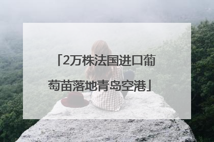 2万株法国进口葡萄苗落地青岛空港