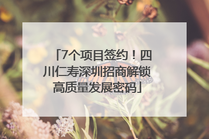 7个项目签约！四川仁寿深圳招商解锁高质量发展密码