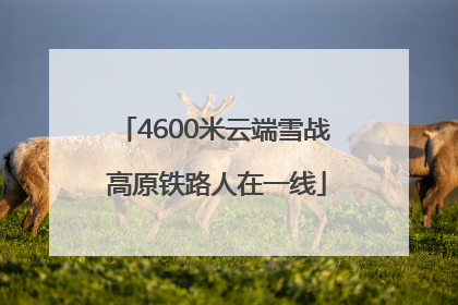4600米云端雪战 高原铁路人在一线