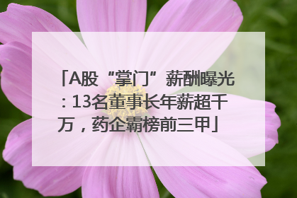 A股“掌门”薪酬曝光：13名董事长年薪超千万，药企霸榜前三甲
