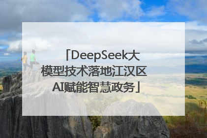 DeepSeek大模型技术落地江汉区 AI赋能智慧政务